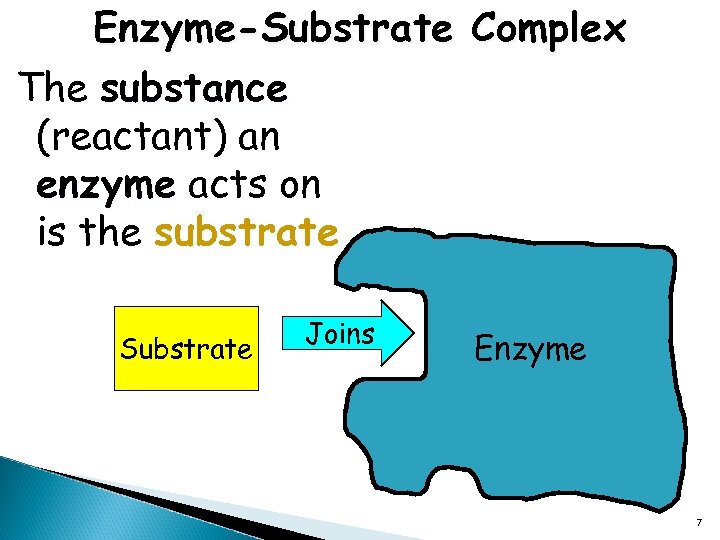 Enzyme-Substrate Complex The substance (reactant) an enzyme acts on is the substrate Substrate Joins