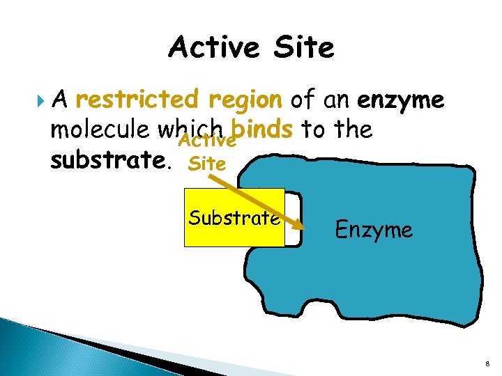 Active Site A restricted region of an enzyme molecule which binds to the Active