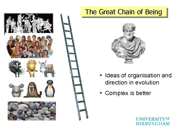 The Great Chain of Being • Ideas of organisation and direction in evolution •