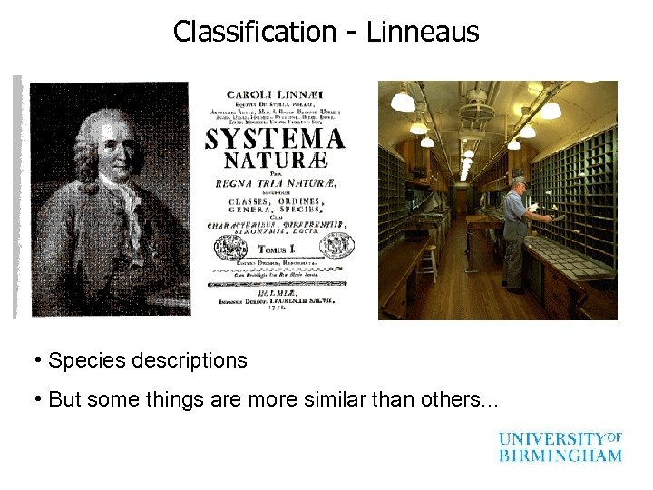 Classification - Linneaus • Species descriptions • But some things are more similar than