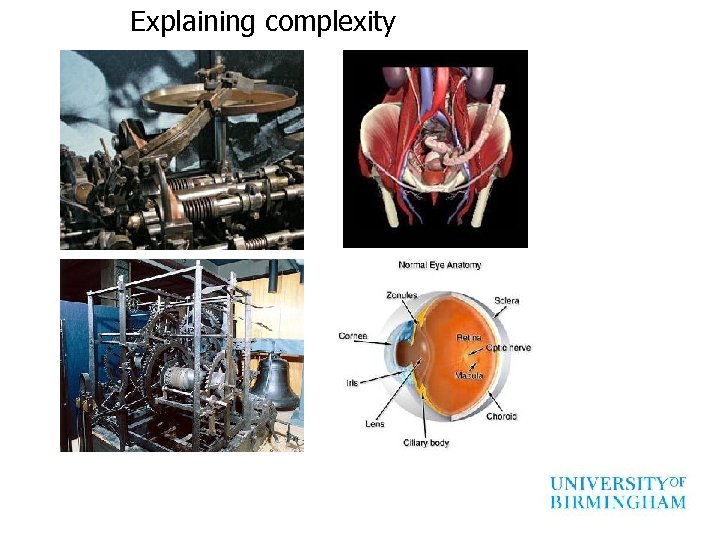 Explaining complexity 