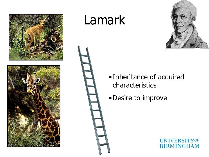 Lamark • Inheritance of acquired characteristics • Desire to improve 