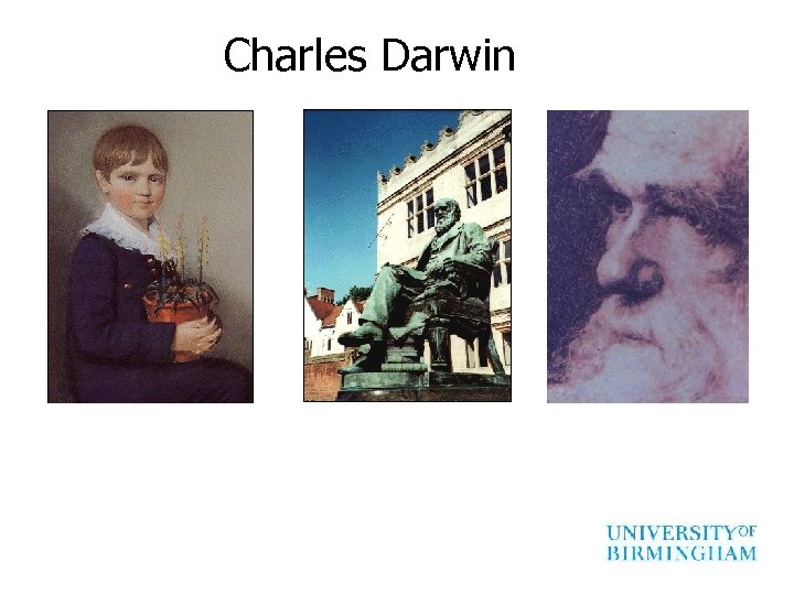 Charles Darwin 