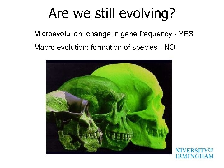 Are we still evolving? Microevolution: change in gene frequency - YES Macro evolution: formation