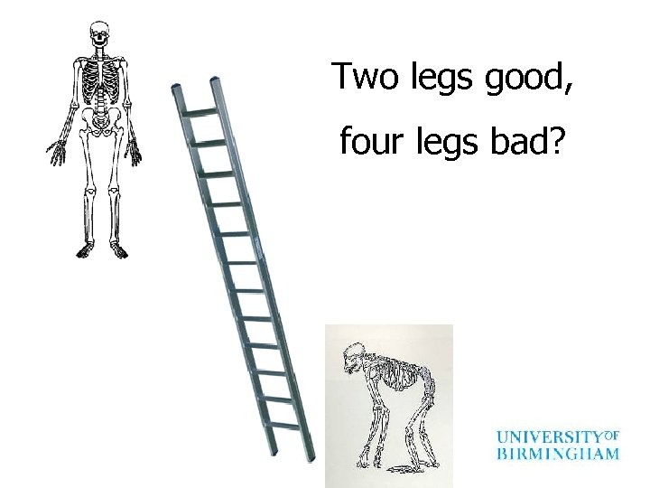 Two legs good, four legs bad? 