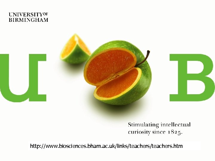 http: //www. biosciences. bham. ac. uk/links/teachers. htm 