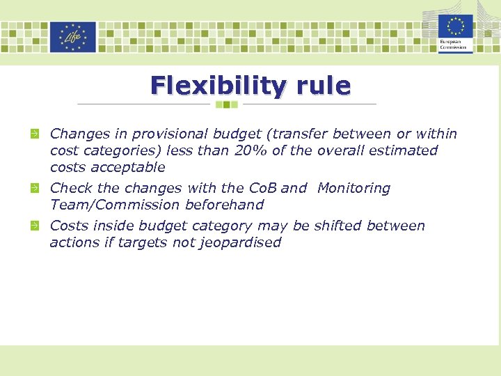 Flexibility rule Changes in provisional budget (transfer between or within cost categories) less than