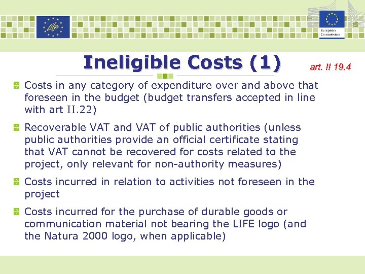 Ineligible Costs (1) art. II 19. 4 Costs in any category of expenditure over