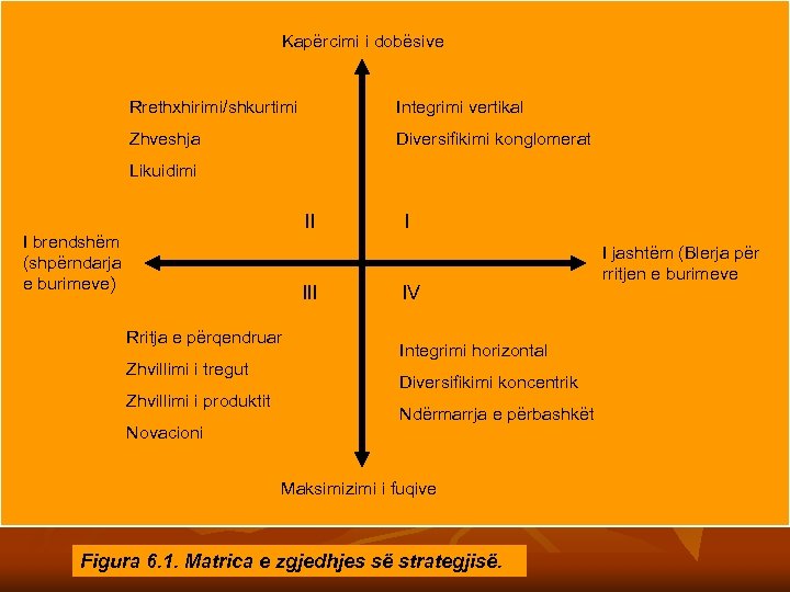 Kapërcimi i dobësive Rrethxhirimi/shkurtimi Integrimi vertikal Zhveshja Diversifikimi konglomerat Likuidimi II I brendshëm (shpërndarja