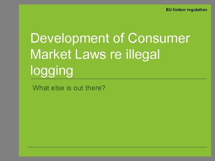 EU timber regulation Development of Consumer Market Laws re illegal logging What else is