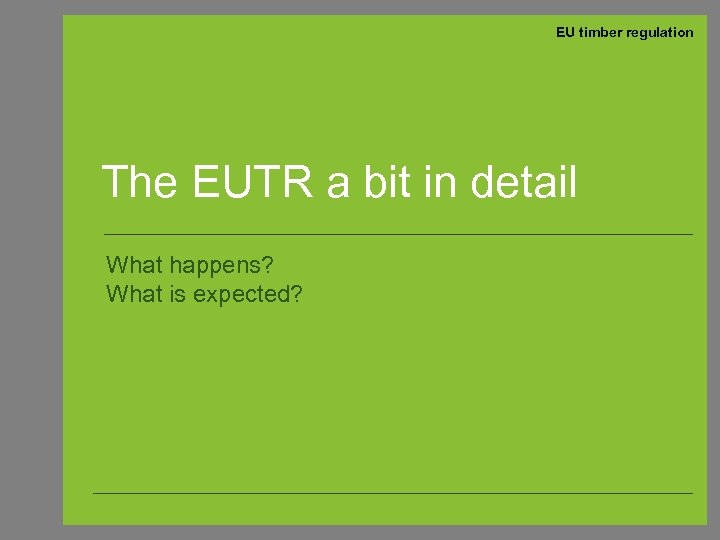 EU timber regulation The EUTR a bit in detail What happens? What is expected?