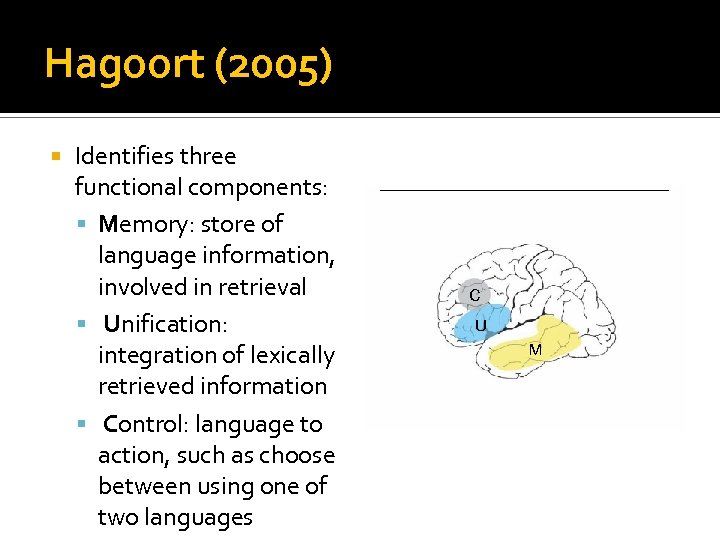 Hagoort (2005) Identifies three functional components: Memory: store of language information, involved in retrieval