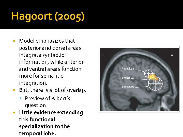 Hagoort (2005) Model emphasizes that posterior and dorsal areas integrate syntactic information, while anterior