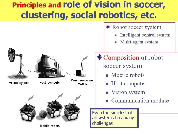 Principles and role of vision in soccer, clustering, social robotics, etc. Robot soccer system