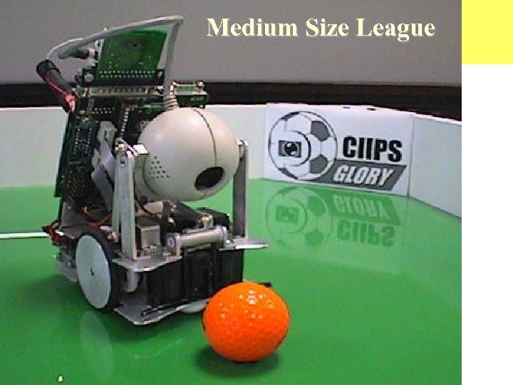 Medium Size League 