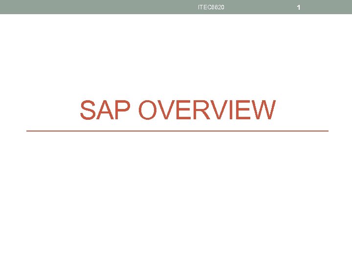 ITEC 6620 SAP OVERVIEW 1 
