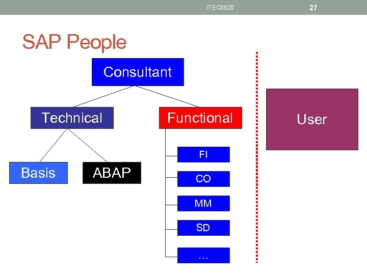 ITEC 6620 27 SAP People Consultant Technical Functional FI Basis ABAP CO MM SD