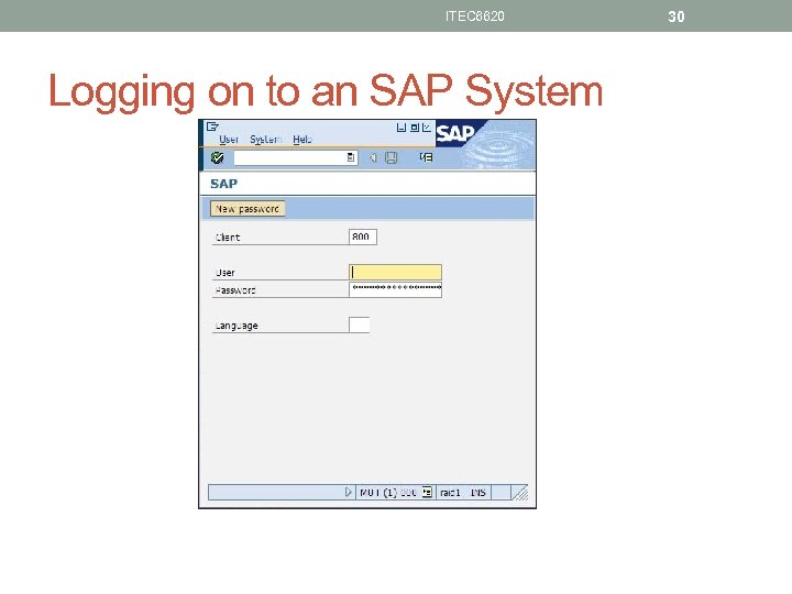ITEC 6620 Logging on to an SAP System 30 