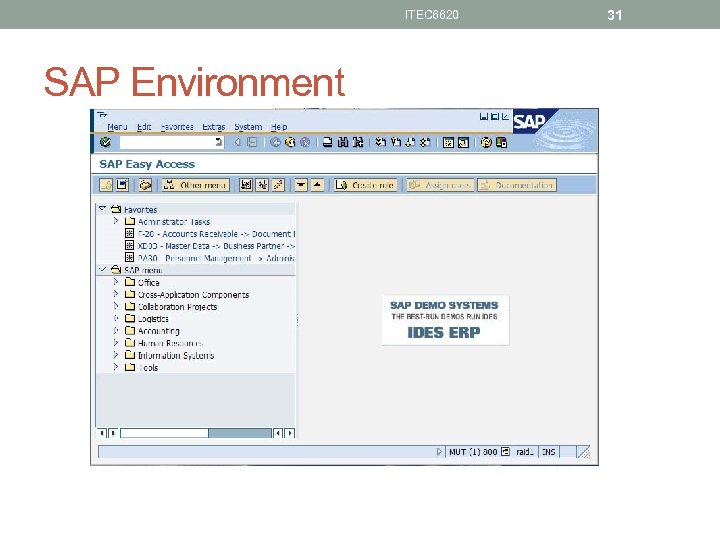 ITEC 6620 SAP Environment 31 
