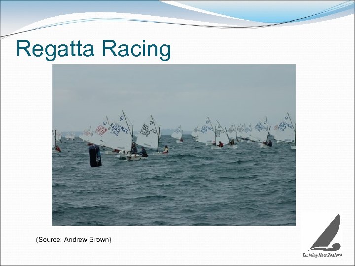 Regatta Racing (Source: Andrew Brown) 