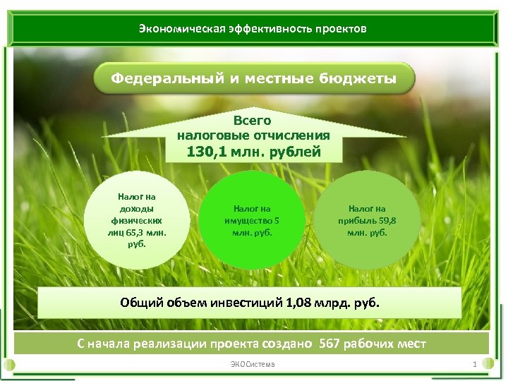 Экономическая эффективность проектов Федеральный и местные бюджеты Всего налоговые отчисления 130, 1 млн. рублей