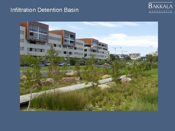 Infiltration Detention Basin 