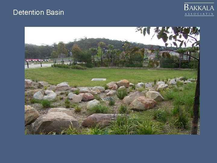 Detention Basin 