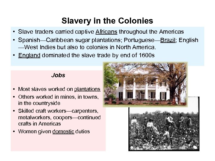 Slavery in the Colonies • Slave traders carried captive Africans throughout the Americas •