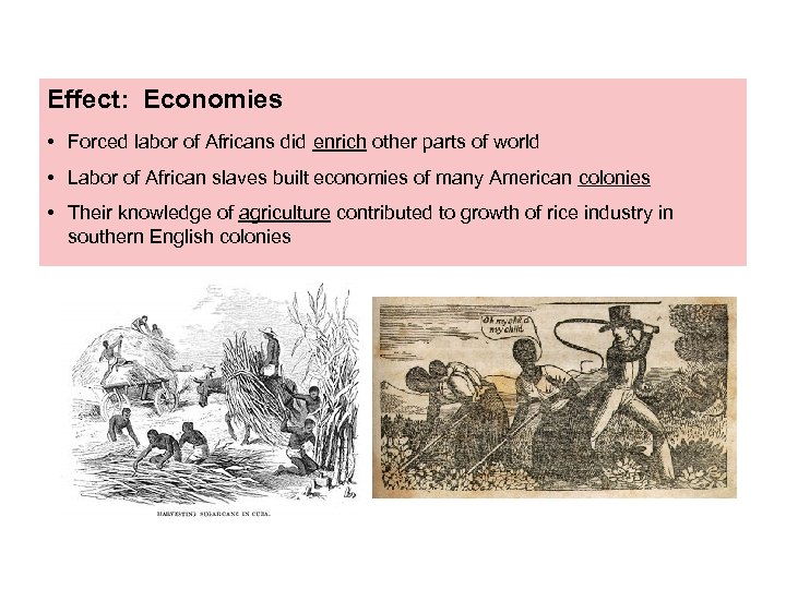 Effect: Economies • Forced labor of Africans did enrich other parts of world •