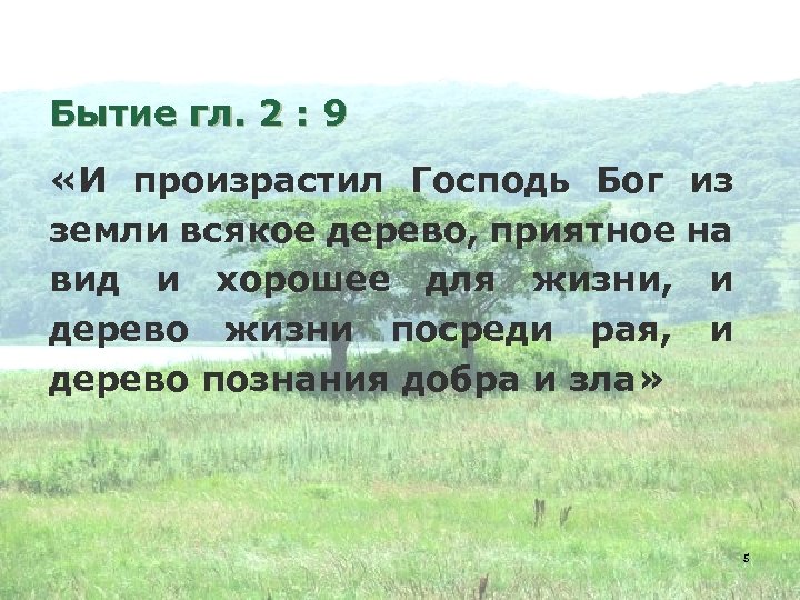 Бытие гл. 2 : 9 «И произрастил Господь Бог из земли всякое дерево, приятное