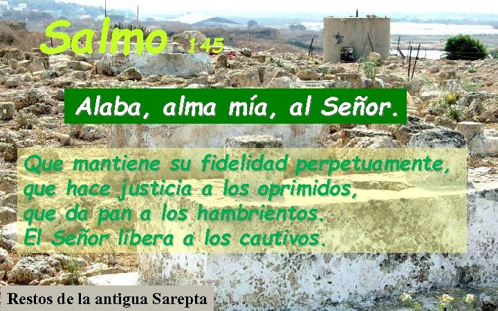 Salmo 145 Alaba, alma mía, al Señor. Que mantiene su fidelidad perpetuamente, que hace