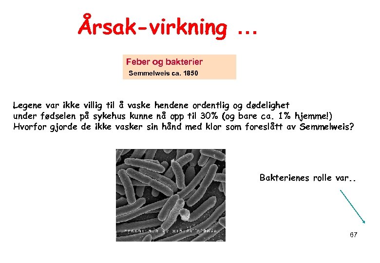 Årsak-virkning … Feber og bakterier Semmelweis ca. 1850 Legene var ikke villig til å