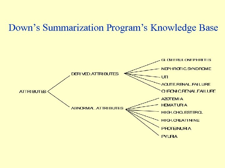 Down’s Summarization Program’s Knowledge Base 