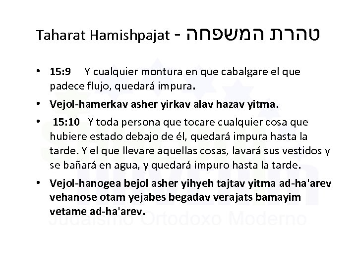 Taharat Hamishpajat - טהרת המשפחה • 15: 9 Y cualquier montura en que cabalgare