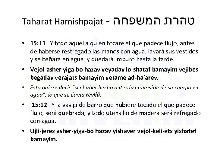 Taharat Hamishpajat - טהרת המשפחה • 15: 11 Y todo aquel a quien tocare