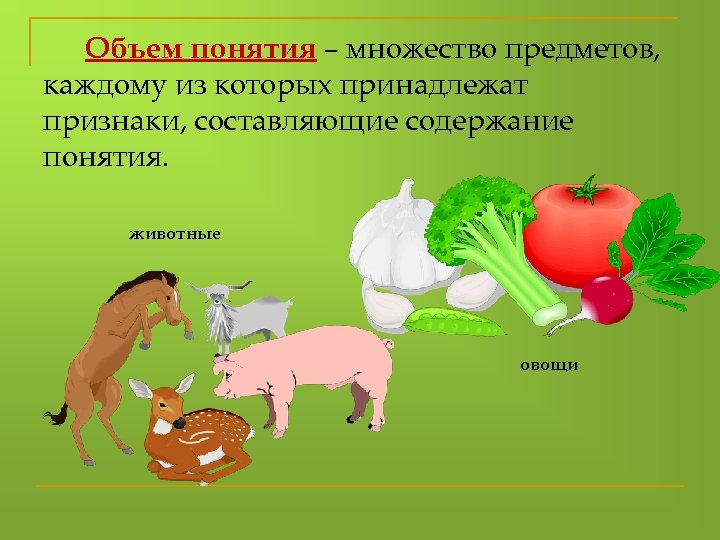 Объем понятия – множество предметов, каждому из которых принадлежат признаки, составляющие содержание понятия. животные