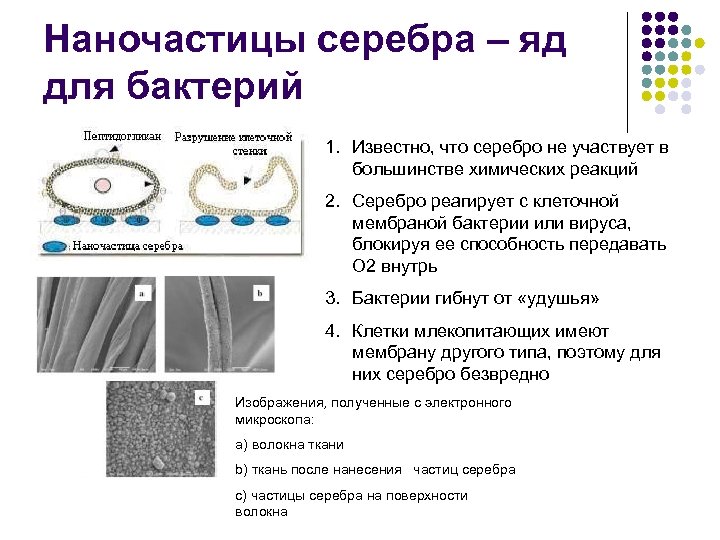 Наночастицы серебра – яд для бактерий 1. Известно, что серебро не участвует в большинстве