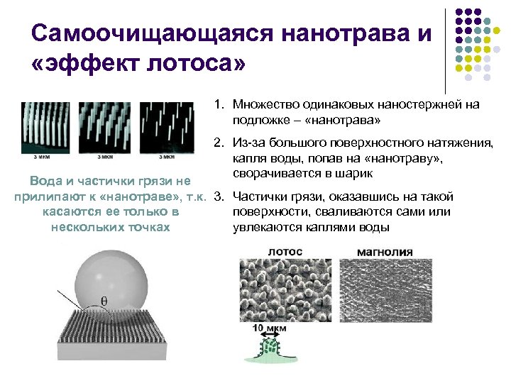 Самоочищающаяся нанотрава и «эффект лотоса» 1. Множество одинаковых наностержней на подложке – «нанотрава» 2.