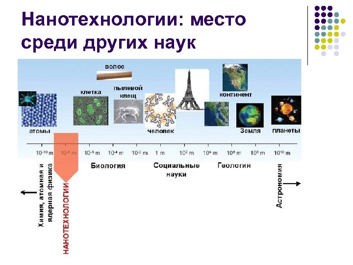 Нанотехнологии: место среди других наук 