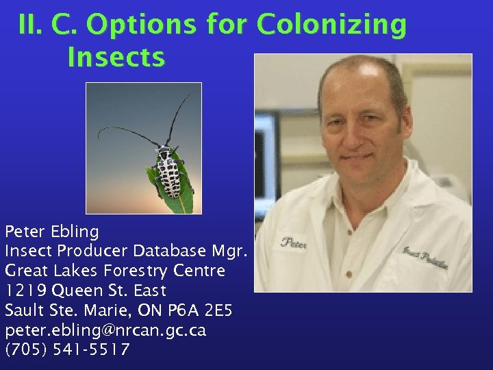 II. C. Options for Colonizing Insects Peter Ebling Insect Producer Database Mgr. Great Lakes