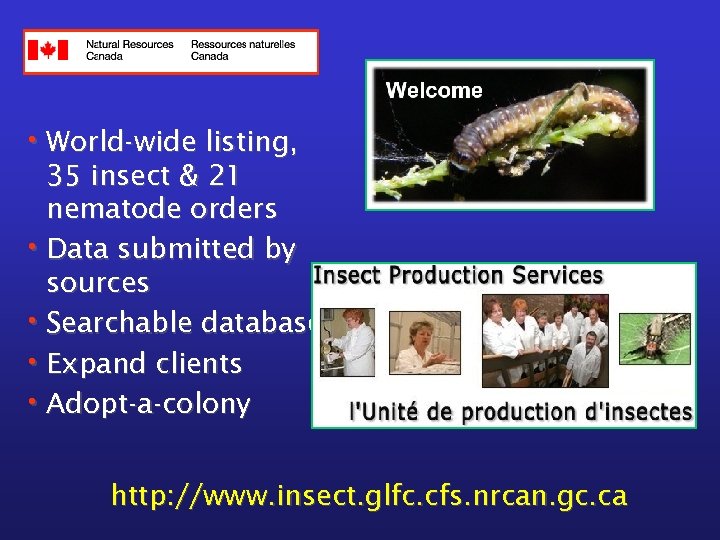  • World-wide listing, 35 insect & 21 nematode orders • Data submitted by