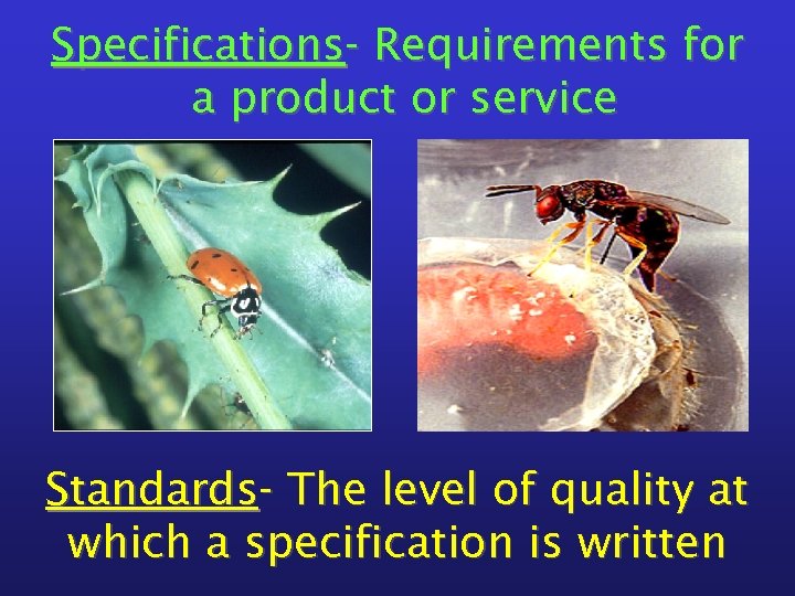 Specifications- Requirements for a product or service Standards- The level of quality at which