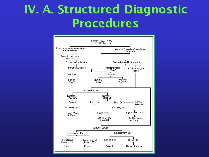 IV. A. Structured Diagnostic Procedures 