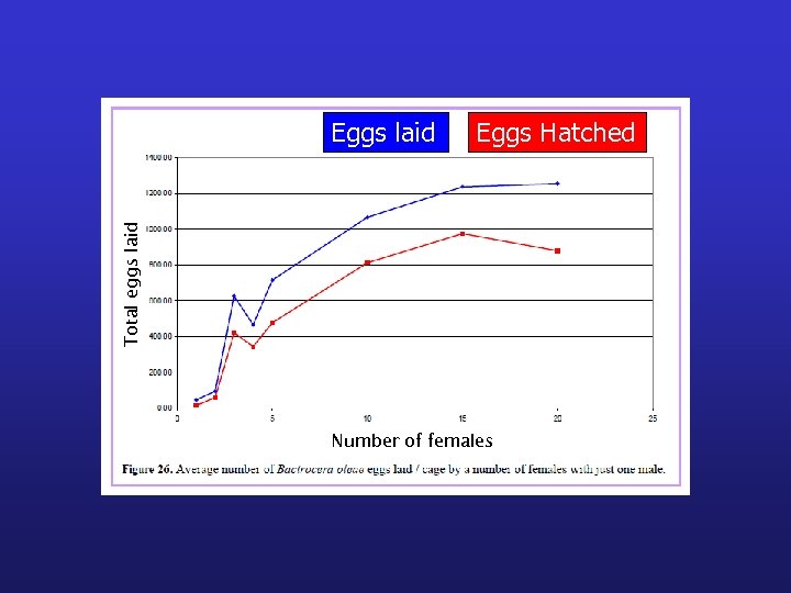 Eggs Hatched Total eggs laid Eggs laid Number of females 