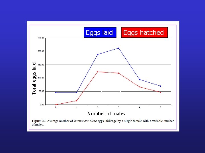 Eggs hatched Total eggs laid Eggs laid Number of males 