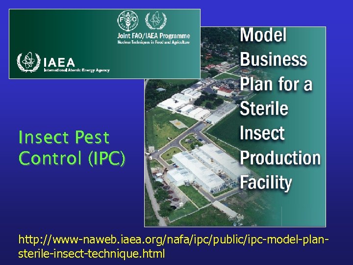 Insect Pest Control (IPC) http: //www-naweb. iaea. org/nafa/ipc/public/ipc-model-plansterile-insect-technique. html 