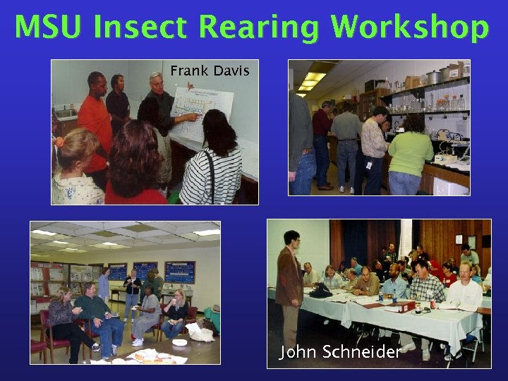 MSU Insect Rearing Workshop Frank Davis John Schneider 