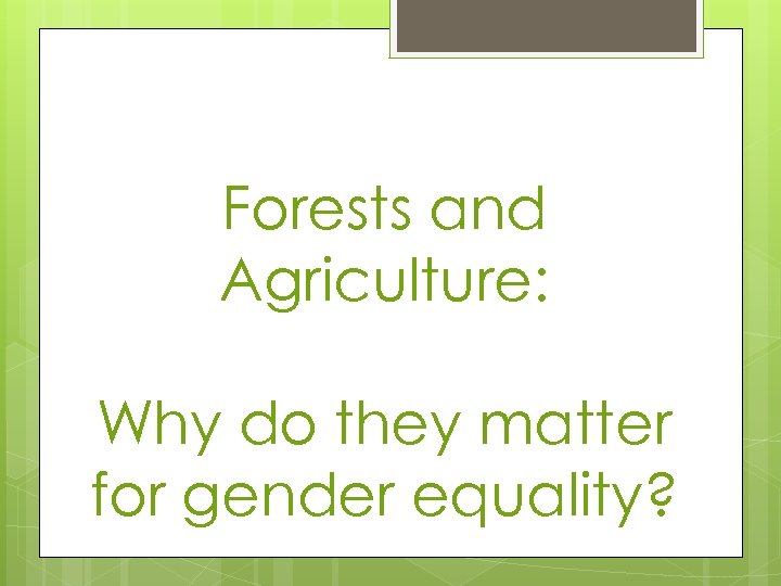 Forests and Agriculture: Why do they matter for gender equality? 