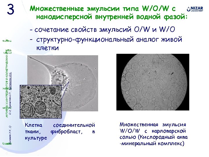 3 Множественные эмульсии типа W/O/W с нанодисперсной внутренней водной фазой: - сочетание свойств эмульсий