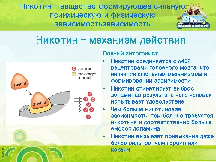 Никотин – вещество формирующее сильную псиихическую и физическую зависимость Никотин – механизм действия Полный